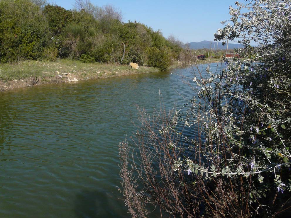 Lago artificiale da naturalizzare in piena Maremma!